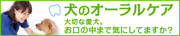犬のオーラルケア