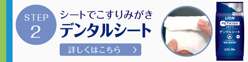 デンタルシート